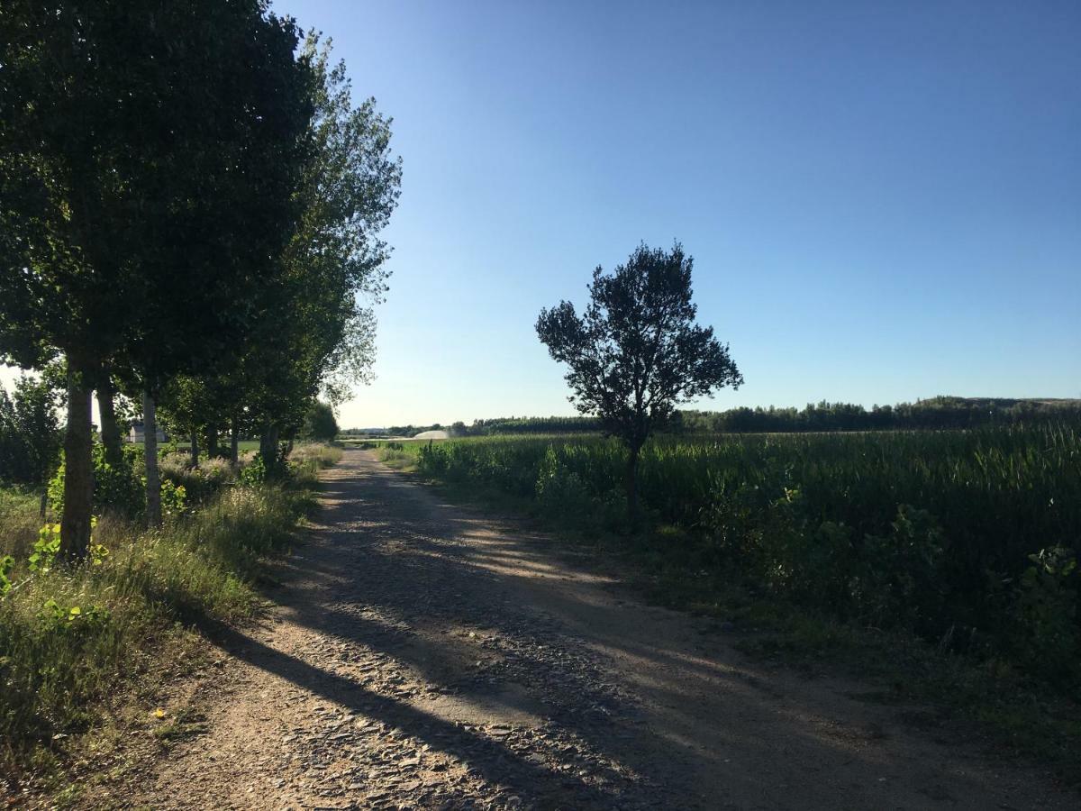 Casas Olmo Y Fresno Jardin Y Piscina A 17 Kilometros De Salamanca Luaran gambar